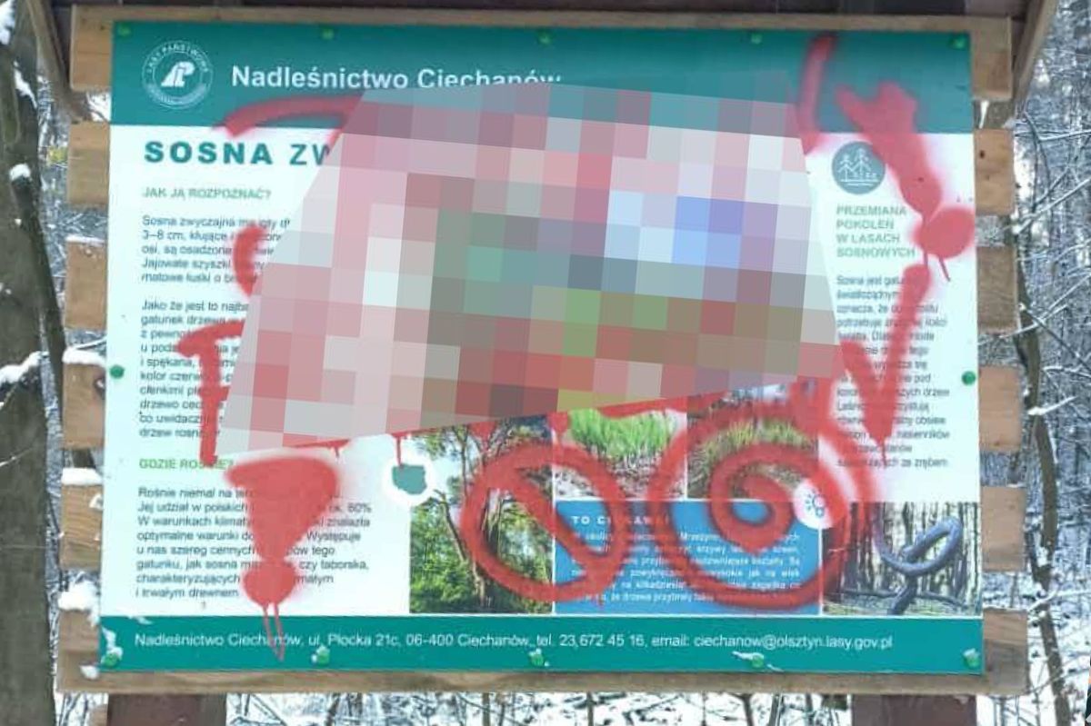 Leśnicy aż się zagotowali. Pokazali zdjęcia tablic