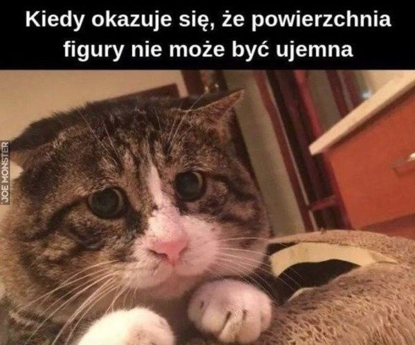 Matura z matematyk 2024, maturalne memy