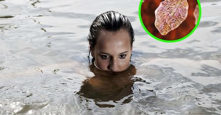 Groźne pasożyty, które kochają wodę. Przebijają się przez ścianę jelita i wwiercają w wątrobę