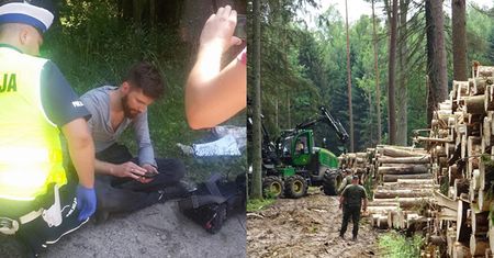 Operator Polsat News pobity w Puszczy Białowieskiej! "Zabrano mu i zniszczono kamerę, następnie sprzęt zwrócono, bez kart pamięci"
