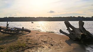 Jezioro w Rokitkach to jedno z najpiękniejszych kąpielisk w regionie. Czysta woda, plaża, bary, domki i atrakcje dla dzieci