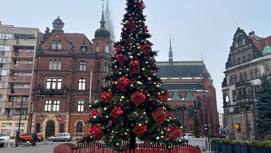 Choinka na placu Słowiańskim (źródło: UM Legnica)