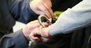 Odpowiedzą za śmiertelne pobicie Gruzina na Deptaku Bogusława w Szczecinie. Oskarżonych jest 7 osób