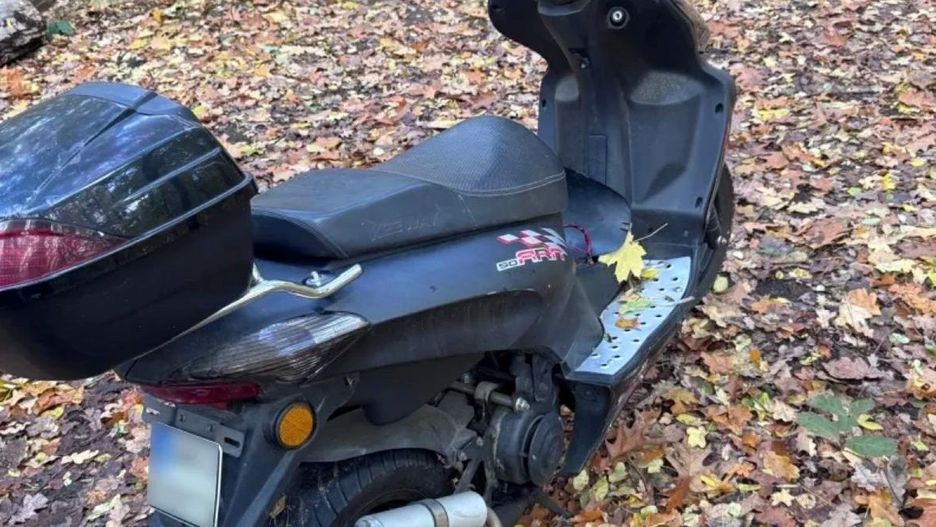 źródło: Straż Miejska m.st. Warszawy