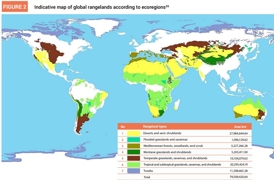 Orientacyjna mapa światowych pastwisk według ekoregionów