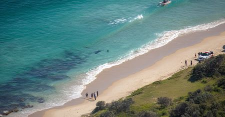 Tragiczny atak rekina na odludnej plaży w Australii. Nie żyje młoda kobieta, mężczyzna walczy o życie