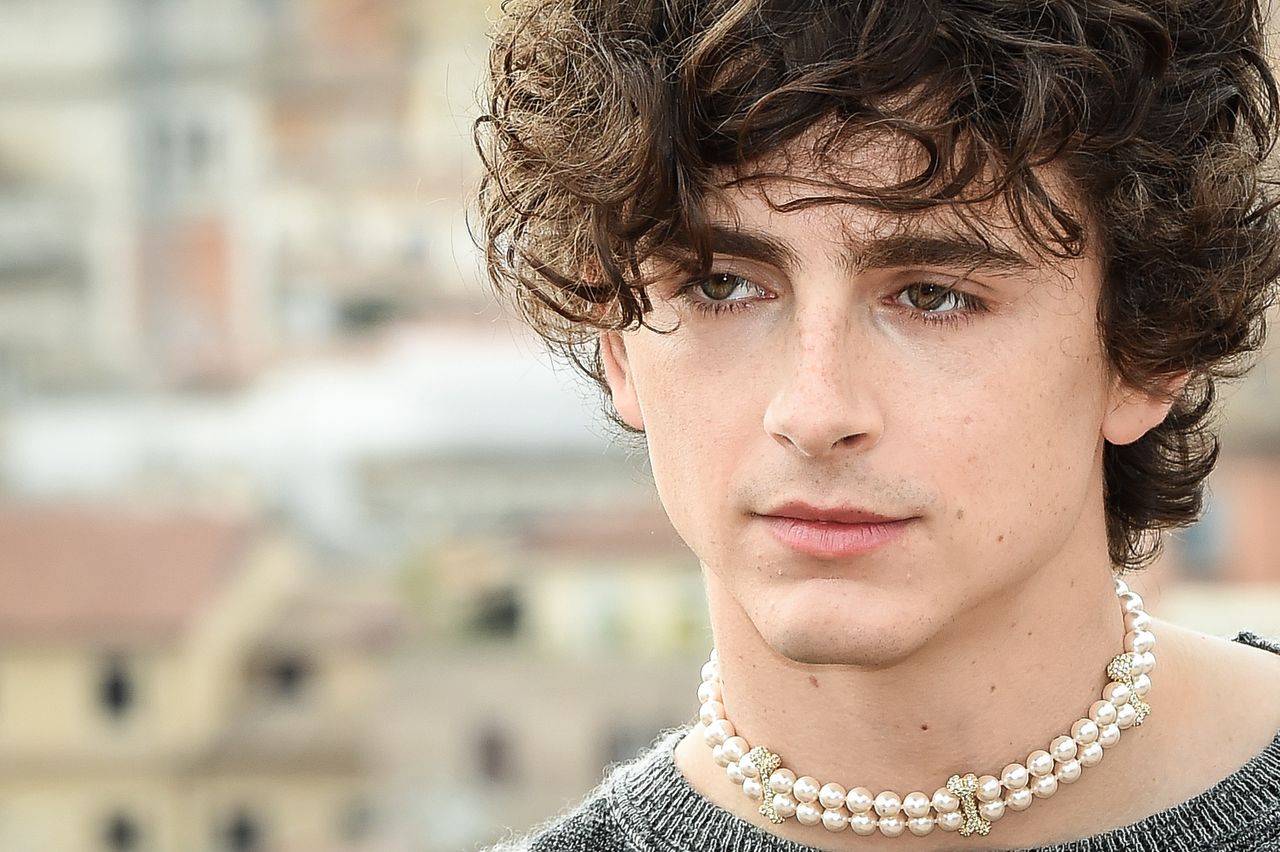 Timothée Chalamet 