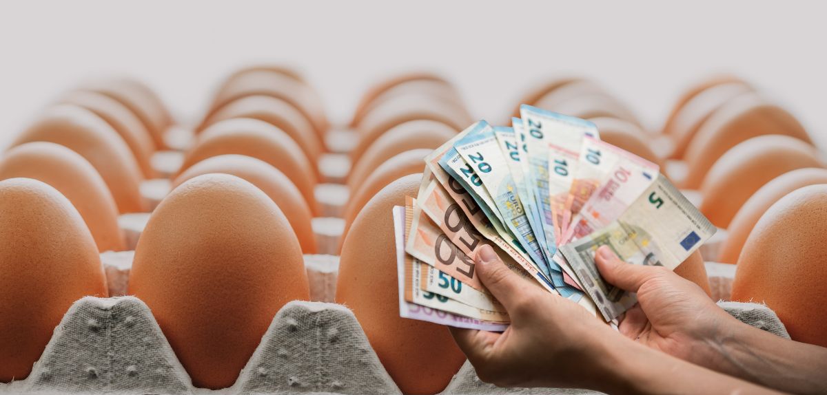 Co napędza wzrost ceny jaj? Polska wśród liderów notowań w UE