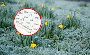 Prognoza pogody na 5 dni. Pod koniec tygodnia przyjdzie wiosna