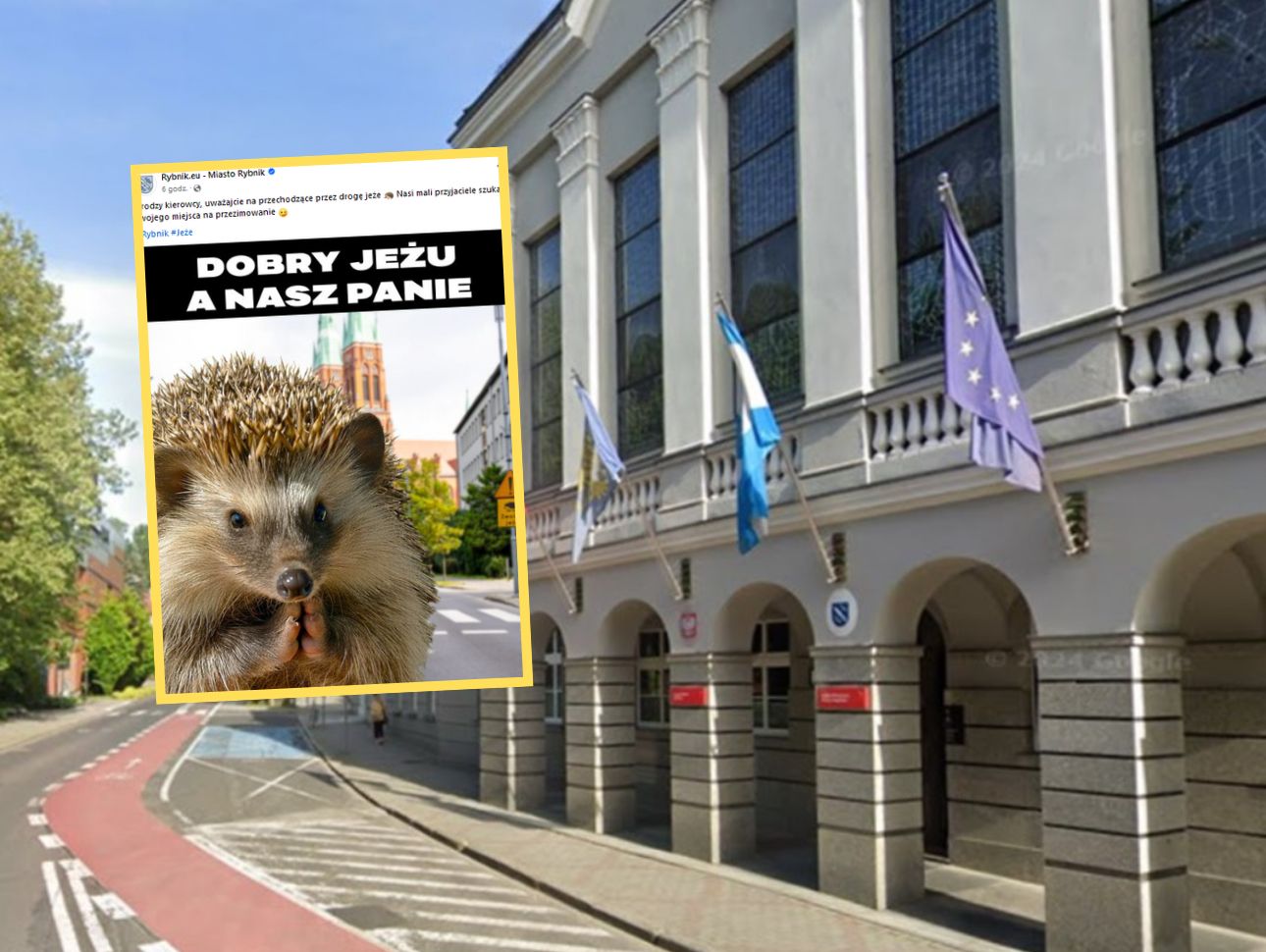Mem z wizerunkiem jeża pojawił się na stronie urzędu miejskiego w Rybniku. W sieci od razu zawrzało 