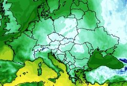 Pogoda. Zmiana warunków. Nie tylko przymrozki