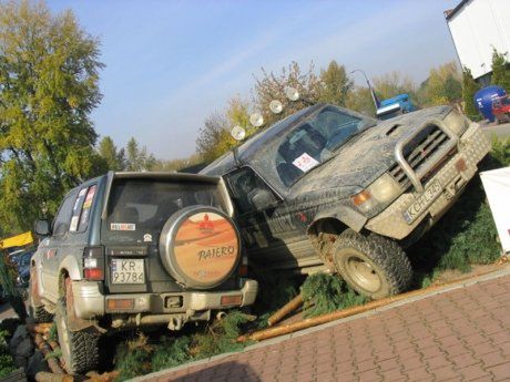 Ilu dealerów jest w Polsce?