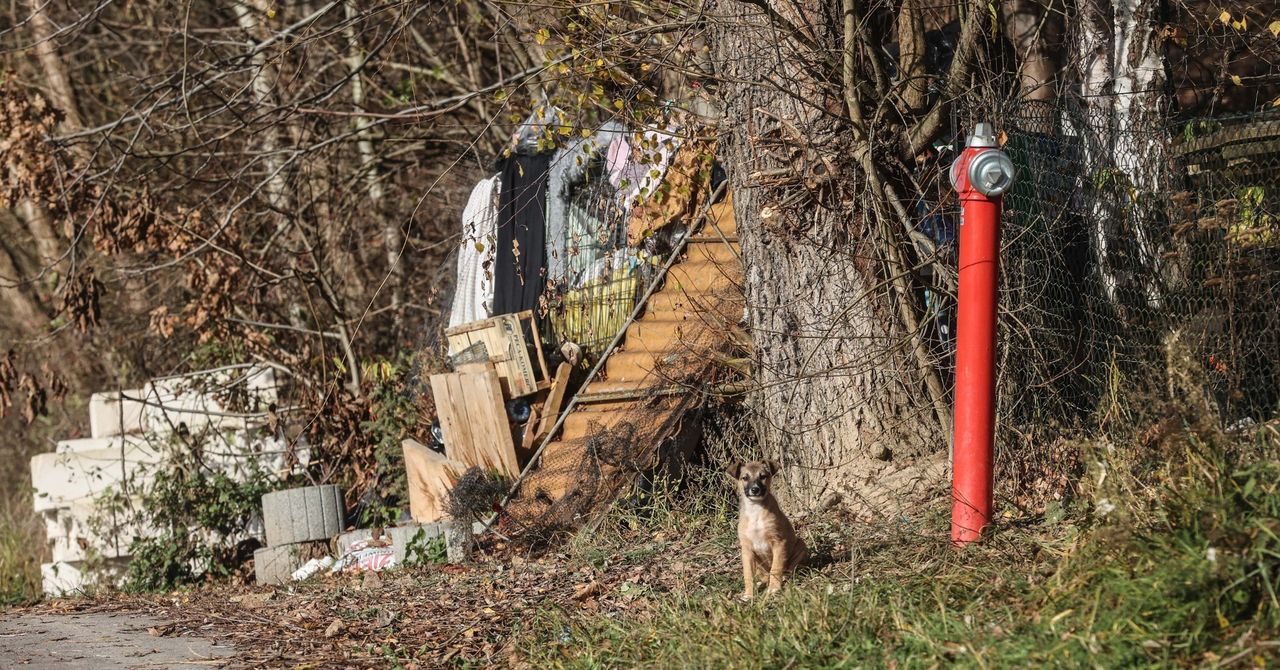 Pstrągowa: Zamieniła posesję w wysypisko śmieci. Sąsiedzi są bezradni