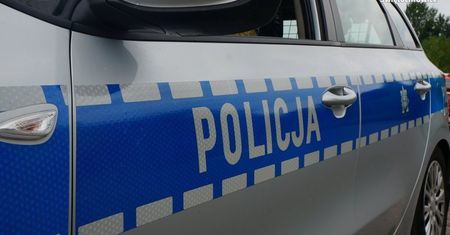 Śląskie. Dwóch 18-latków podpaliło śmietnik. Mieli więcej na sumieniu