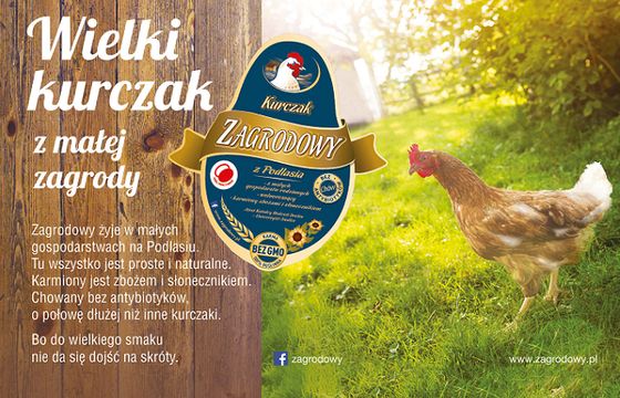 „Wielki kurczak z małej zagrody” w kampanii Kurczaka Zagrodowego (wideo)