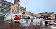 Zamość: Choinka i baśniowa kraina. Na Rynku Wielkim jest coraz bardziej świątecznie