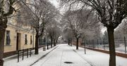 Zimowa aura na Walentynki, czyli prognoza pogody na piątek