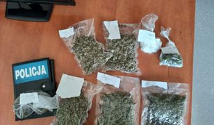 Śląskie. Uderzenie w narkobiznes, diler obiecuje poprawę