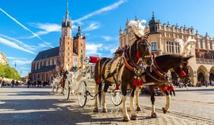 Kraków. Chcą zakazać wjazdu dorożek na Rynek Główny