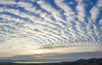 Widowiskowe chmury nad Polską. Altocumulus undulatus zwiastują zmiany