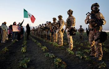 Obława na migrantów w Kalifornii. Miały paść strzały
