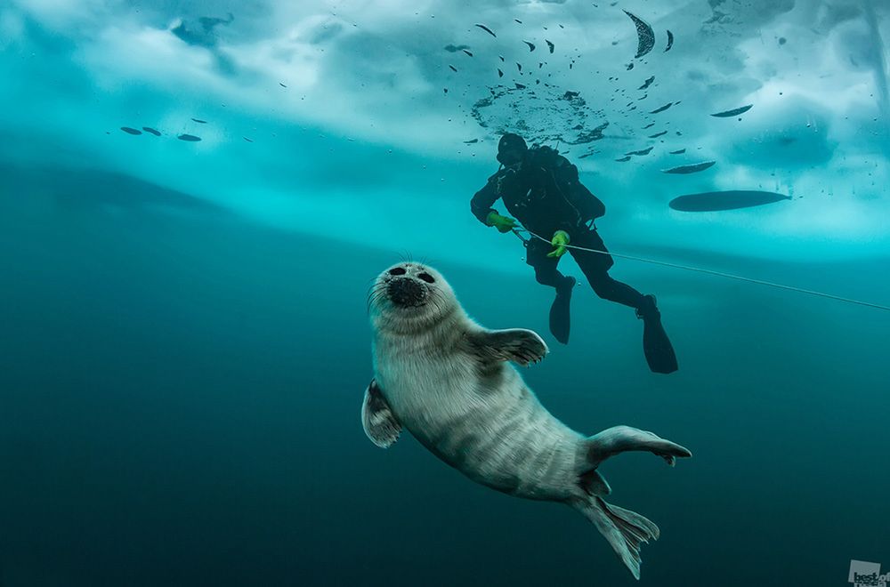 Nominowani do tytułu Najlepszego Fotografa Rosji w konkursie „Best of Russia 2016” 13