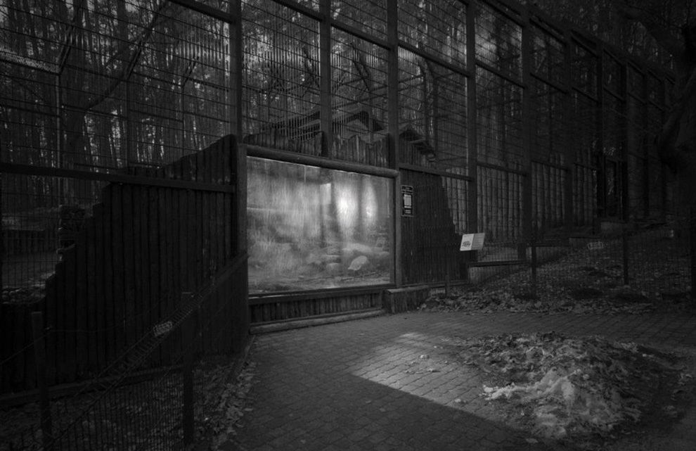 DEBUTS, czyli świat oczami młodych polskich fotografów 13