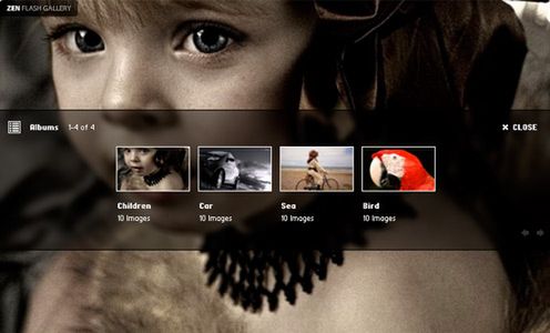 Fotoblogia: 20 darmowych galerii do fotograficznego portfolio 13