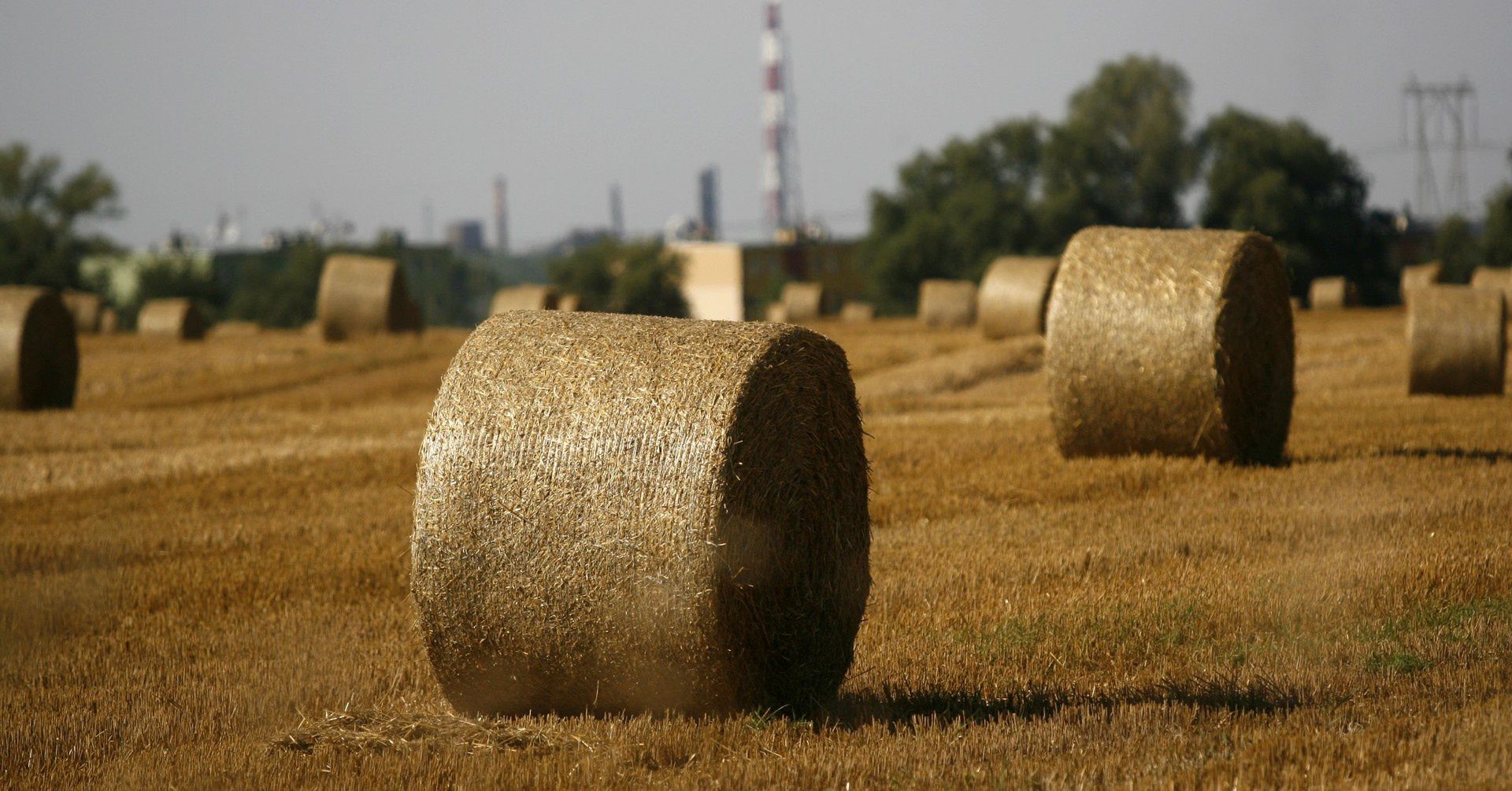 Przesunięcia środków w instrumentach PROW 2014-2020.