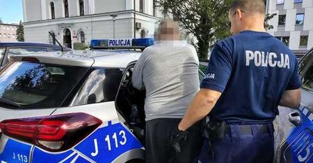 64-latek uśmiercił szczenięta, grozi mu 5 lat więzienia