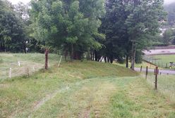 Martwe dziecko. Rodzice pokazali, gdzie zakopane jest dziecko