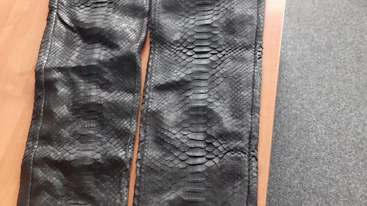 Spodnie ze skóry pytona
