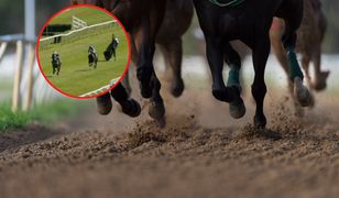 Tragiczny wypadek na wyścigach. Koń musiał zostać uśpiony