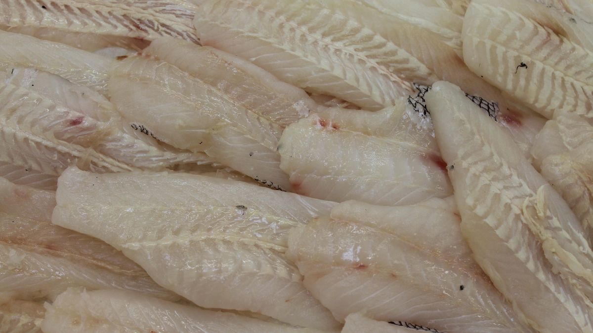 Jakich ryb lepiej unikać?