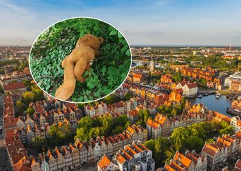 Finał interwencji zaskoczył strażników. "Wystarczyło jedno spojrzenie"