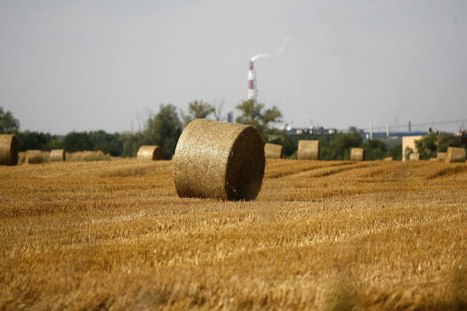 Nowy miesiąc rozpoczyna się upalnie. Pogoda utrzyma się do startu żniw?
