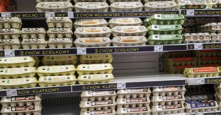 Sieci handlowe oszukują na jajkach? Ekspertka mówi, co robią