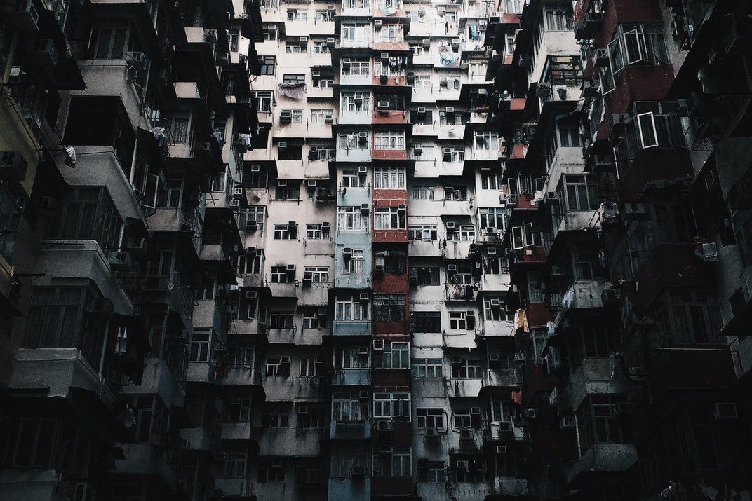 Znamy zwycięzców i finalistów Smithsonian Photo Contest 2015 22