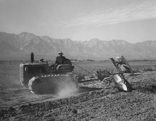 Adams, poruszony tym, że jego znajomi zostali przesiedleni skorzystał z pierwszej nadarzającej się okazji do sfotografowania obozu Manzanar. Fotograf wyruszył tam ze swoim aparatem. Robił zdjęcia dotyczące życia codziennego mieszkańców, uprawy roli, zajęć sportowych oraz portretował osiedlonych.