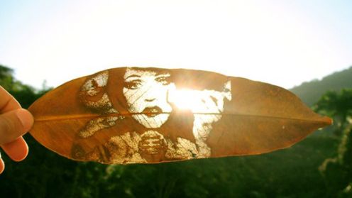 Wizytówki i reklamy laserowo wypalane na powierzchni liści 1