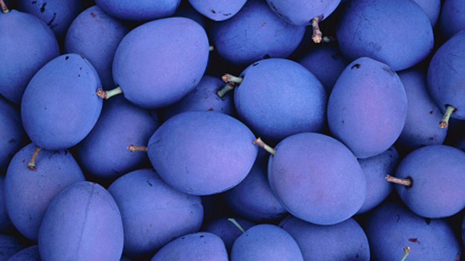 Śliwki wpływają bardzo korzystnie na nasze zdrowie