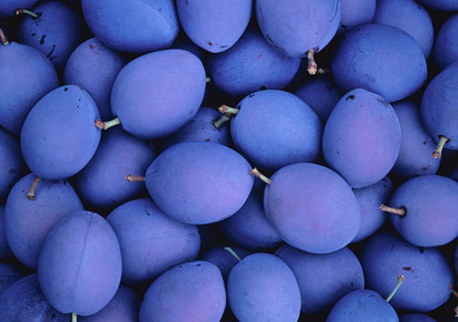 Właśnie trwa sezon. Wspierają prawidłowe krążenie, wzmacniają kości