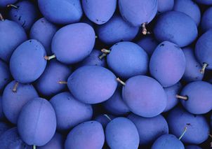 Właśnie trwa sezon. Wspierają prawidłowe krążenie, wzmacniają kości