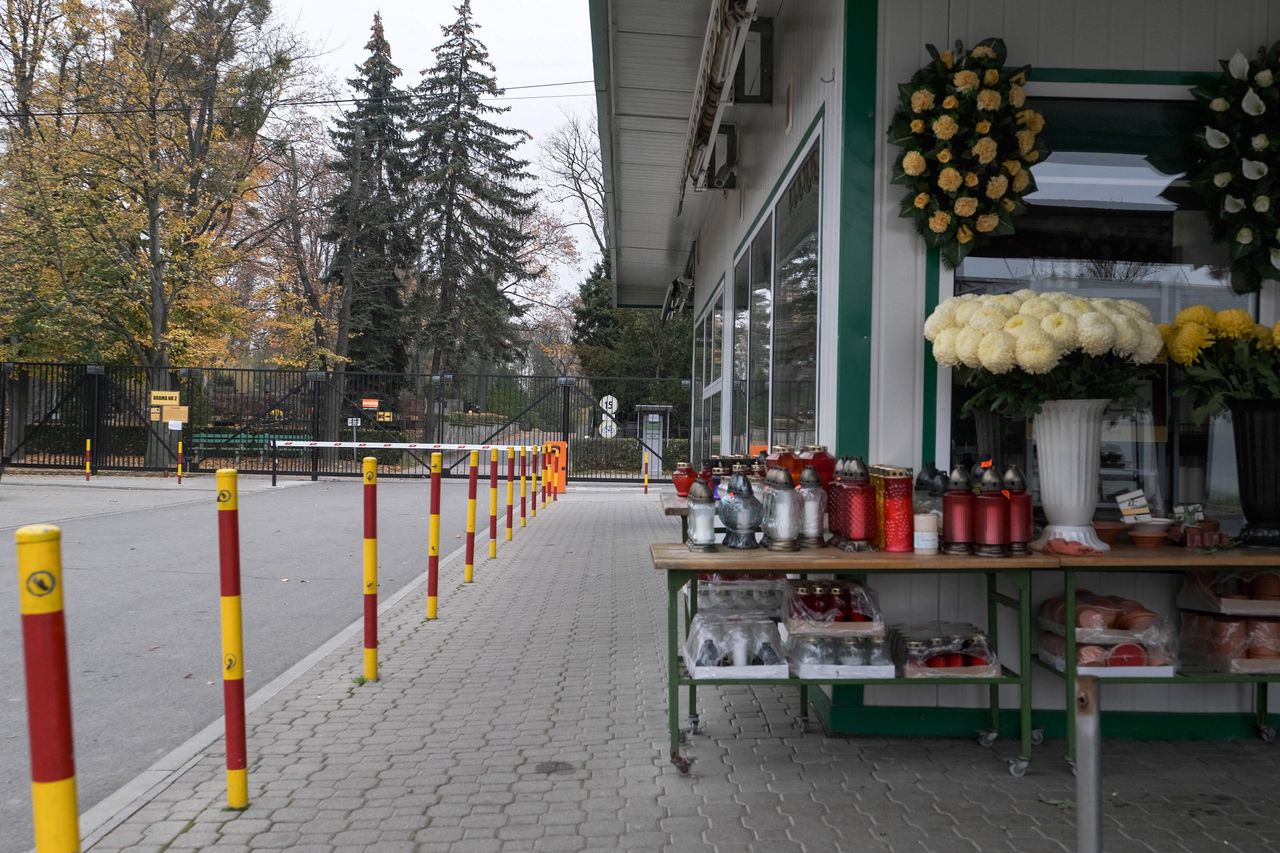 Zamknięte cmentarze. Nietypowy konkurs dla wrocławian. Można wygrać drzewo