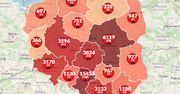 Koronawirus w Polsce. 337 nowych zakażeń. Blisko połowa z jednego województwa [Aktualna mapa]