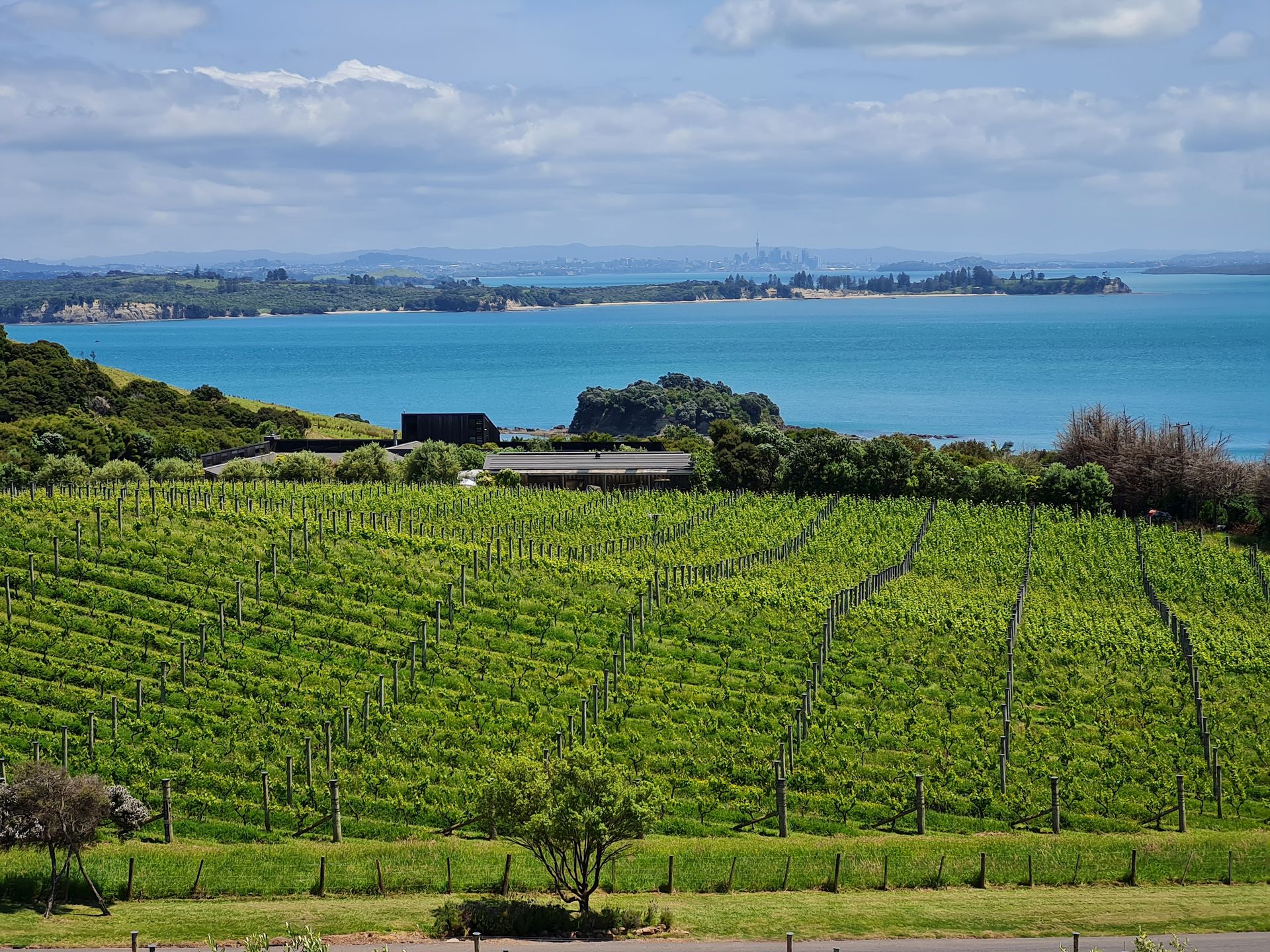 Nowa Zelandia, wyspa Waiheke