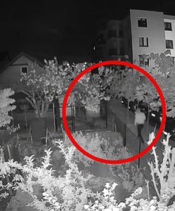Kamera wszystko nagrała. Prawda wyszła na jaw po dwóch latach