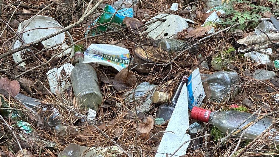 Śmieci w lasach to codzienność