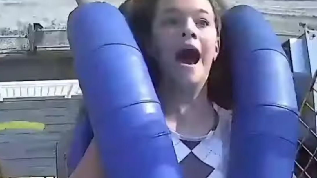 Mewa, która uderzyła w twarz dziewczynki