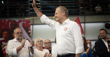 "Tak wyglądają oszustwa PiS". Szybka odpowiedź Platformy Obywatelskiej